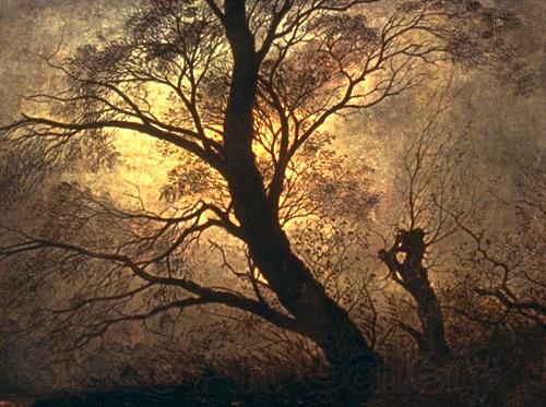 Caspar David Friedrich Trees in the moonlight Norge oil painting art